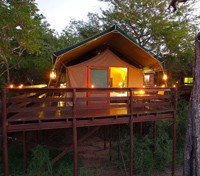 Buffalo Camp